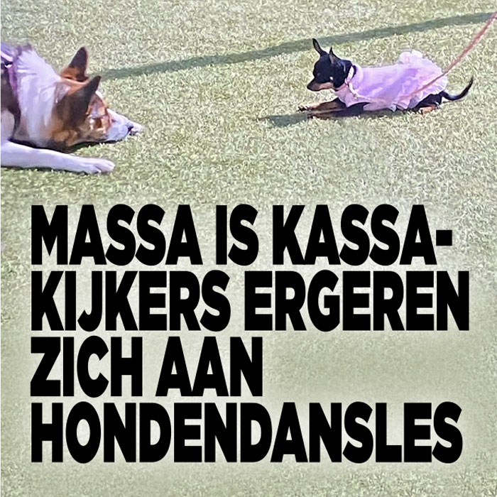 Massa is Kassa-kijkers ergeren zich aan hondendansles