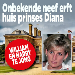 Onbekende neef erft huis prinses Diana: &#8216;William en Harry te jong&#8217;