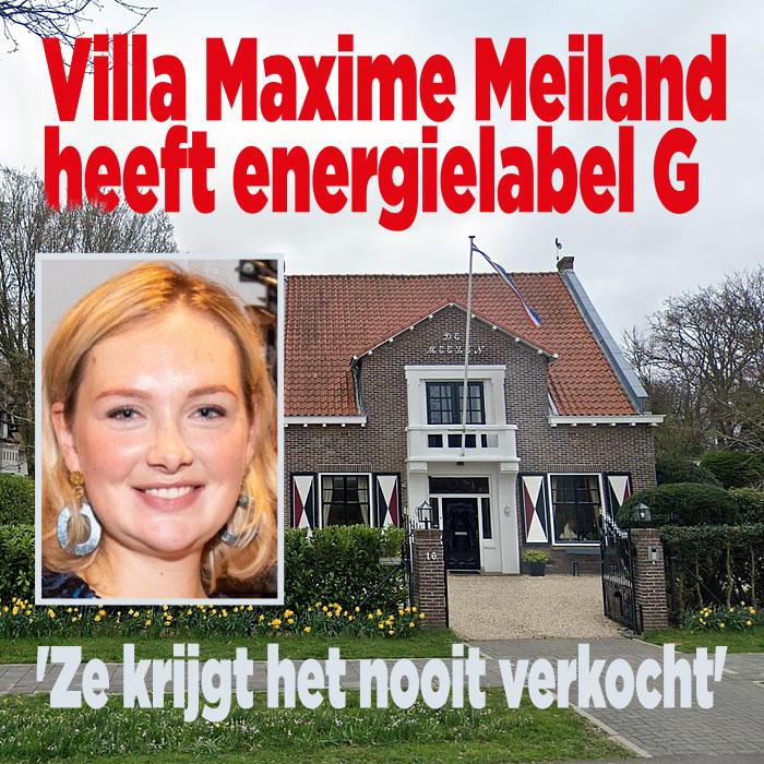 Villa Maxime Meiland heeft energielabel G: &#8216;Ze krijgt het nooit verkocht&#8217;