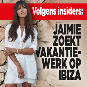 Insiders: Jaimie Vaes zoekt vakantiewerk op Ibiza