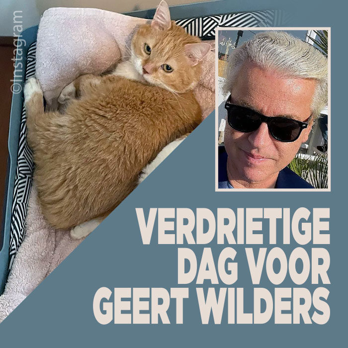 Poes van Geert Wilders overleden
