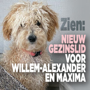 ZIEN: Nieuw gezinslid voor Willem-Alexander en Máxima
