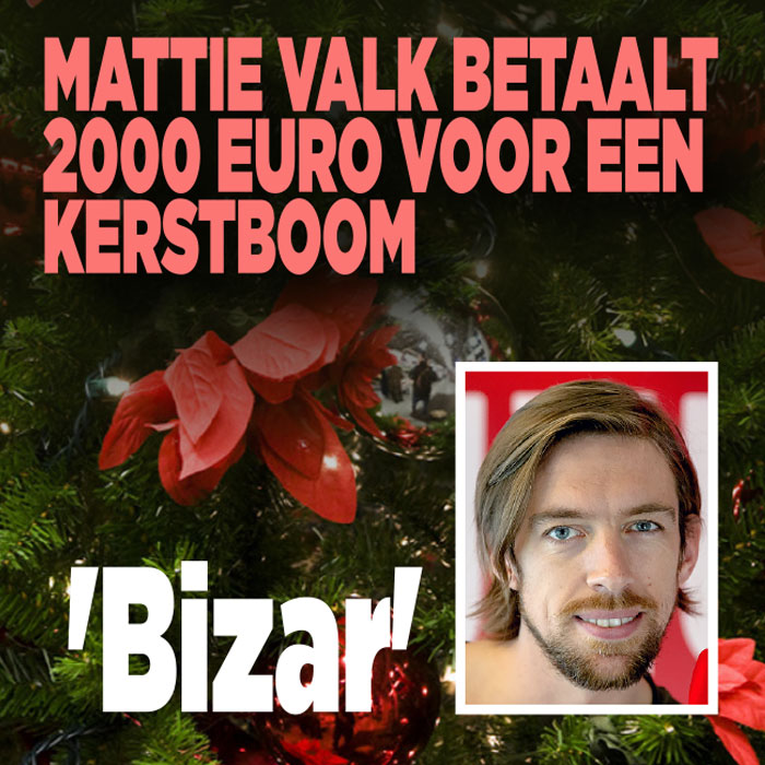 Mattie Valk betaalt 2000 euro voor een kerstboom: &#8216;Bizar&#8217;