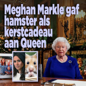 Meghan Markle gaf hamster als kerstcadeau aan Queen
