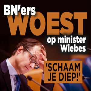 BN&#8217;ers woest op minister Wiebes