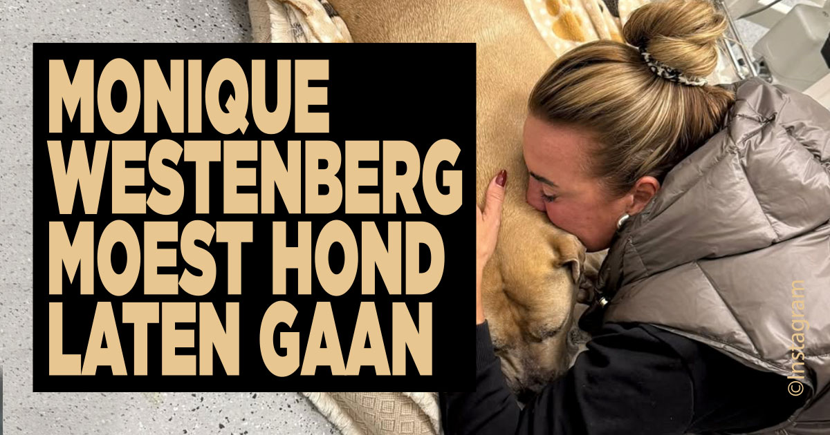 Monique moest hond laten gaan