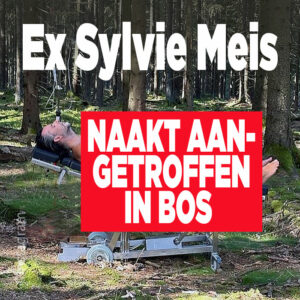 Ex Sylvie Meis naakt aangetroffen in bos