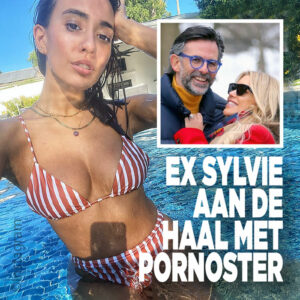 Ex Sylvie Meis aan de haal met pornoster