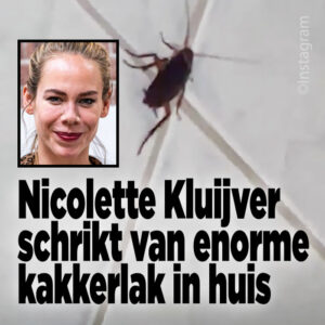 Nicolette Kluijver schrikt van enorme kakkerlak in haar huis
