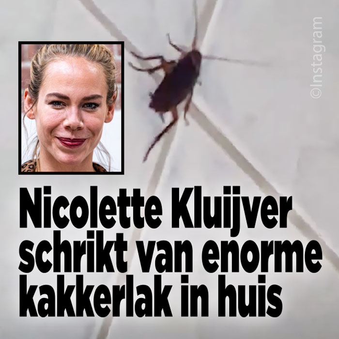 Nicolette heeft last van kakkerlakken