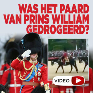 Was het paard van prins William gedrogeerd?