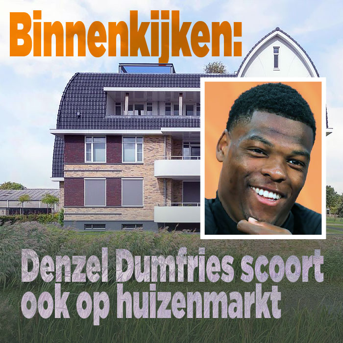 Denzel Dumfries