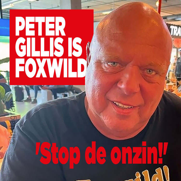 Peter Gillis is foxwild: &#8216;Stop de onzin!&#8217;