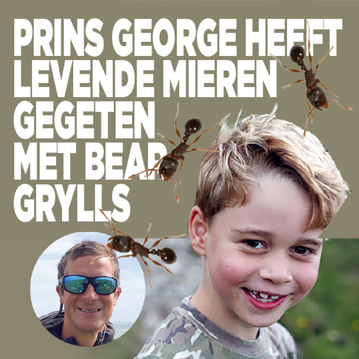 Prins George at levende mieren