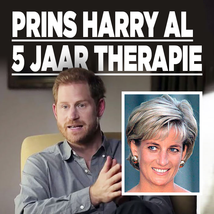 Prins Harry|Harry therapie