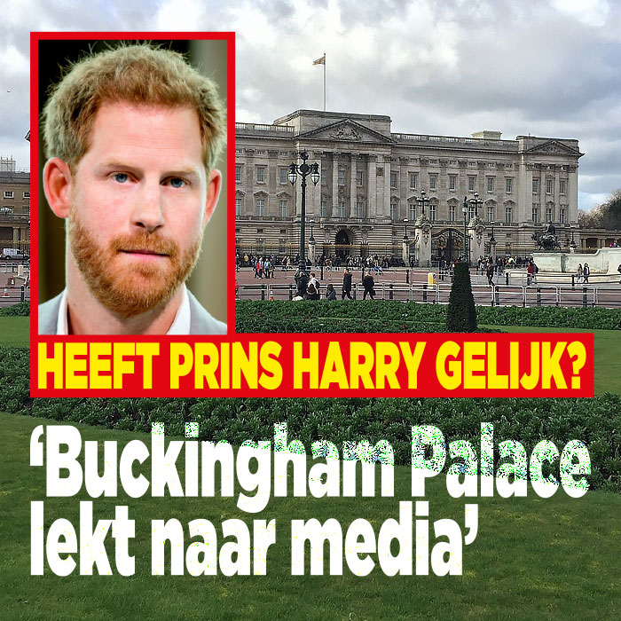 Heeft prins Harry gelijk? &#8216;Buckingham Palace lekt naar media&#8217;