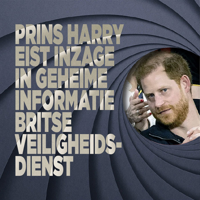 Prins Harry eist inzag in geheime informatie
