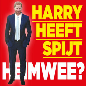 ‘Heimwee zorgt bij prins Harry voor spijt’