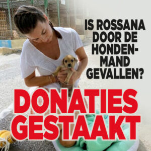 Donaties gestaakt: Rossana Kluivert door hondenmand gevallen?