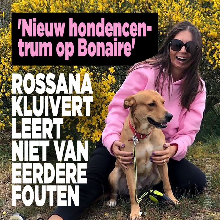 Rossana begint weer een hondenopvang