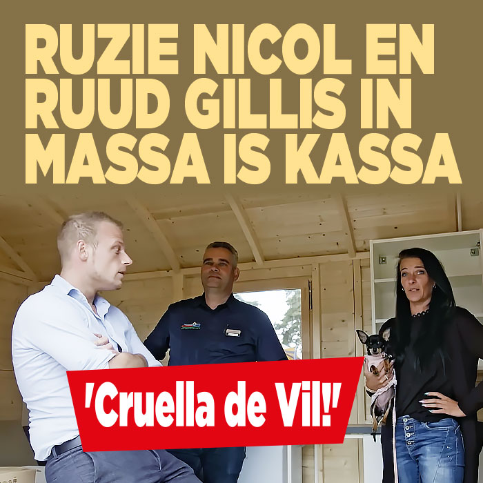 Ruzie Nicol en Ruud Gillis in Massa is Kassa: &#8216;Cruella de Vil!&#8217;