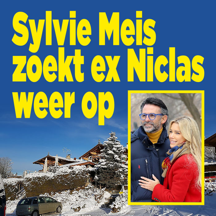 Sylvie Meis zoekt ex Niclas weer op