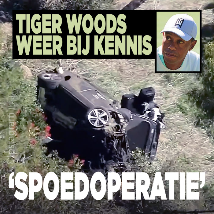 Tiger Woods|Tiger Woods reed te hard