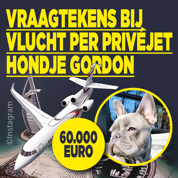Vraagtekens bij vlucht per privéjet hondje Gordon