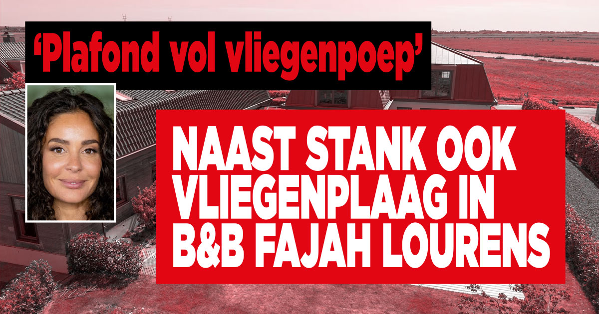 Smerige bende in BenB Fajah