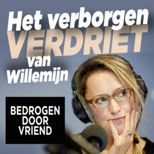 Het liefdesverdriet van Willemijn Veenhoven