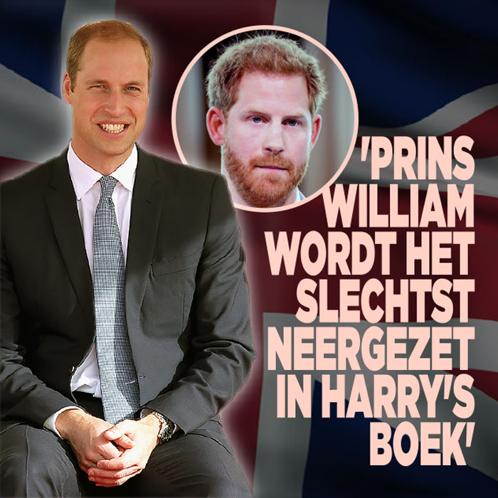 &#8216;Prins William wordt het slechtst neergezet in Harry&#8217;s boek&#8217;