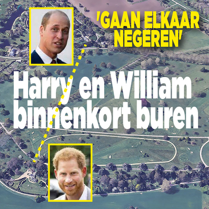 Harry en William binnenkort buren: &#8216;Gaan elkaar negeren&#8217;