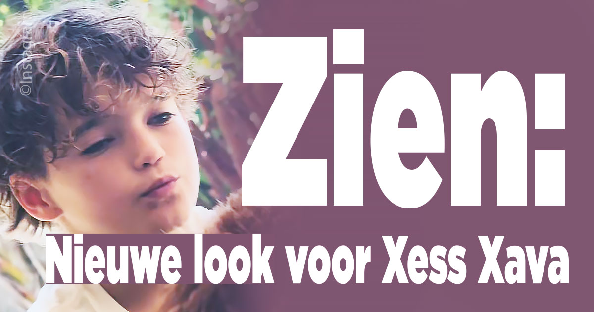 Krullenkop voor Xess Xava