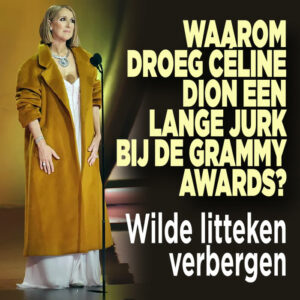 Waarom droeg Céline Dion een lange jurk bij de Grammy Awards? &#8216;Wilde litteken verbergen&#8217;