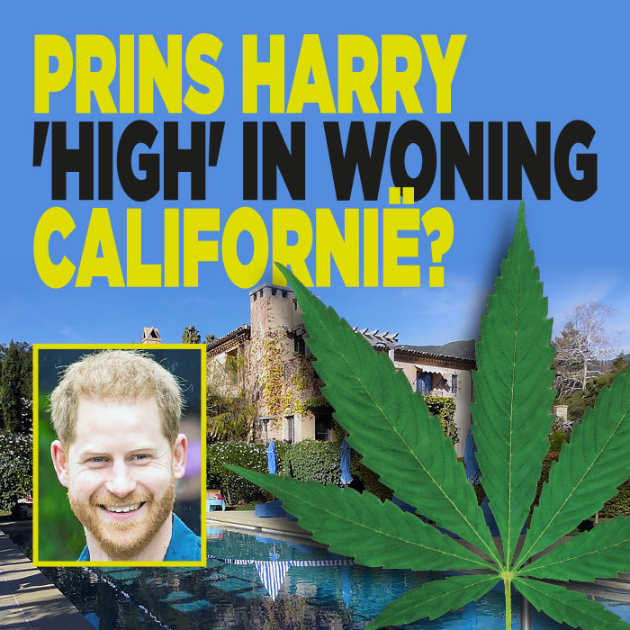 Cannabis stank in woning prins Harry