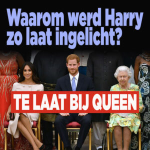 Te laat bij queen &#8216;Waarom werd Harry zo laat ingelicht?&#8217;
