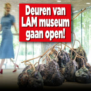 Deuren LAM Museum gaan weer open