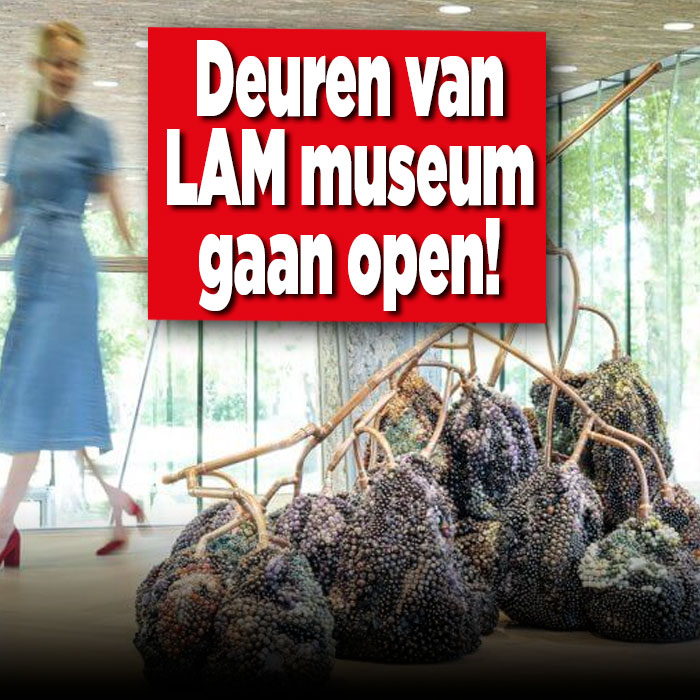 LAM museum open
