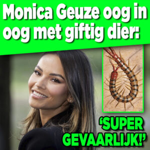 Monica Geuze oog in oog met giftig dier: &#8216;Super gevaarlijk!&#8217;
