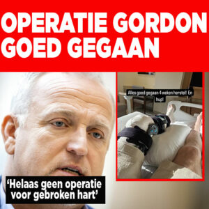 Operatie Gordon goed gegaan: ’Helaas geen operatie voor gebroken hart’