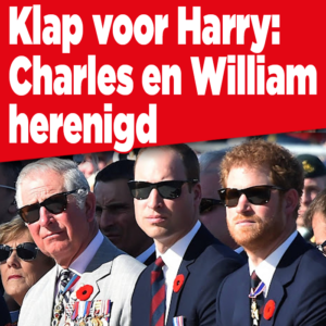 Klap voor prins Harry: Koning Charles en prins William herenigen zonder hem