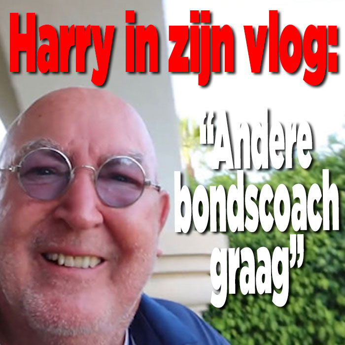 Harry Vermeegen