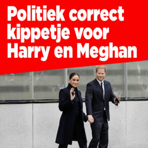 Politiek correct kippetje voor Harry en Meghan
