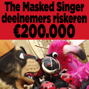 Wow: Deelnemers The Masked Singer riskeren enorme geldboete