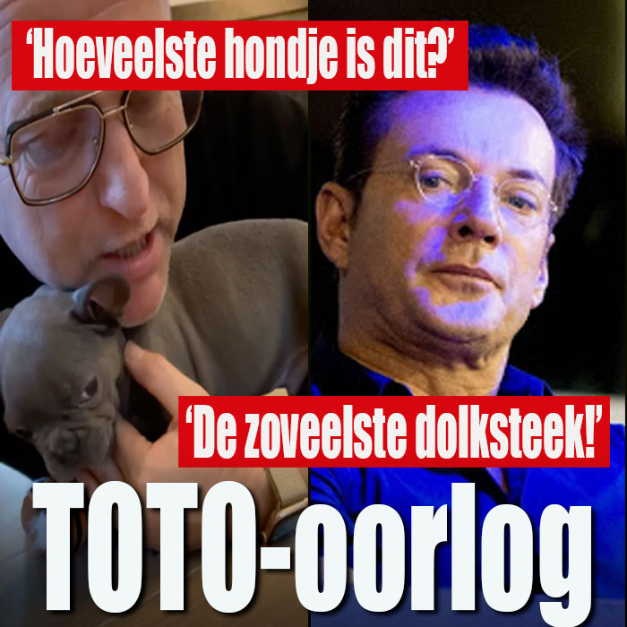 Oorlog om hondje Toto.