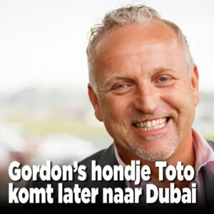 Gordon neemt hond Toto mee naar Dubai