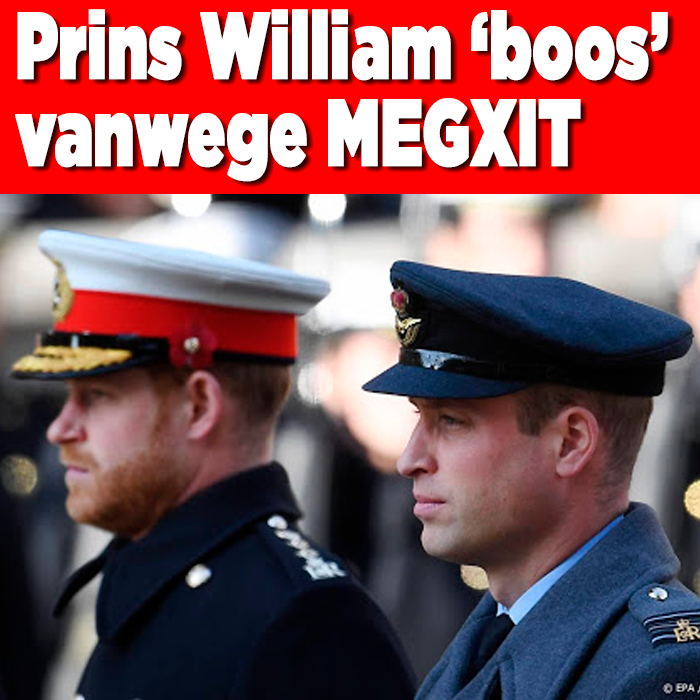 Prins William &#8216;boos en bedroefd’ vanwege situatie prins Harry