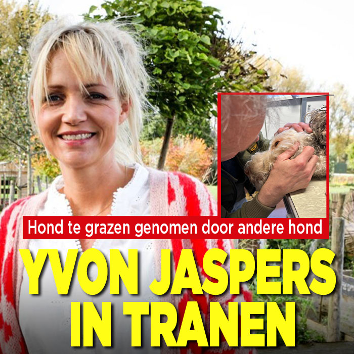 Yvon Jaspers in tranen: hond Tommy flink te grazen genomen